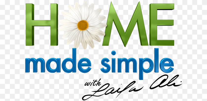 642x409 Home Made Simple, Daisy, Flower, Plant Transparent PNG