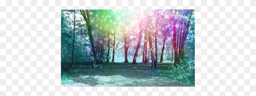 442x255 Home Magical Trees Background Grove, Vegetation, Plant, Sunlight HD PNG Download