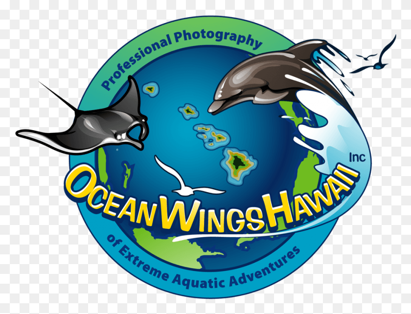 915x683 Home Manta Ray, Dolphin, Mammal, Sea Life HD PNG Download