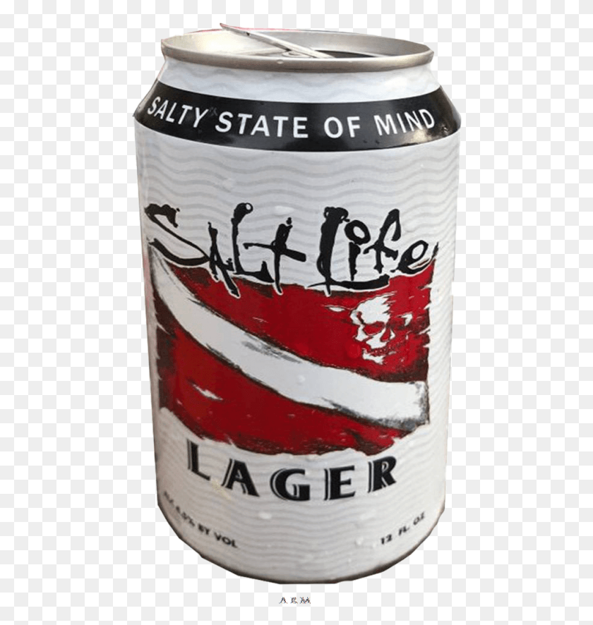 469x826 Home Salt Life Lager Logo, Beverage, Drink, Alcohol HD PNG Download