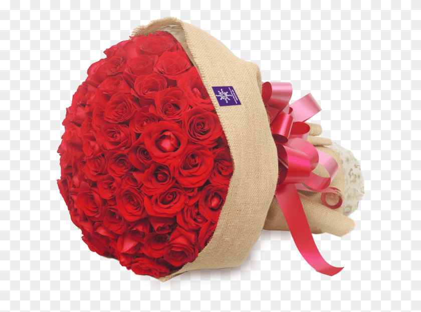 619x563 Home Shop Garden Roses, Clothing, Apparel, Bonnet HD PNG Download