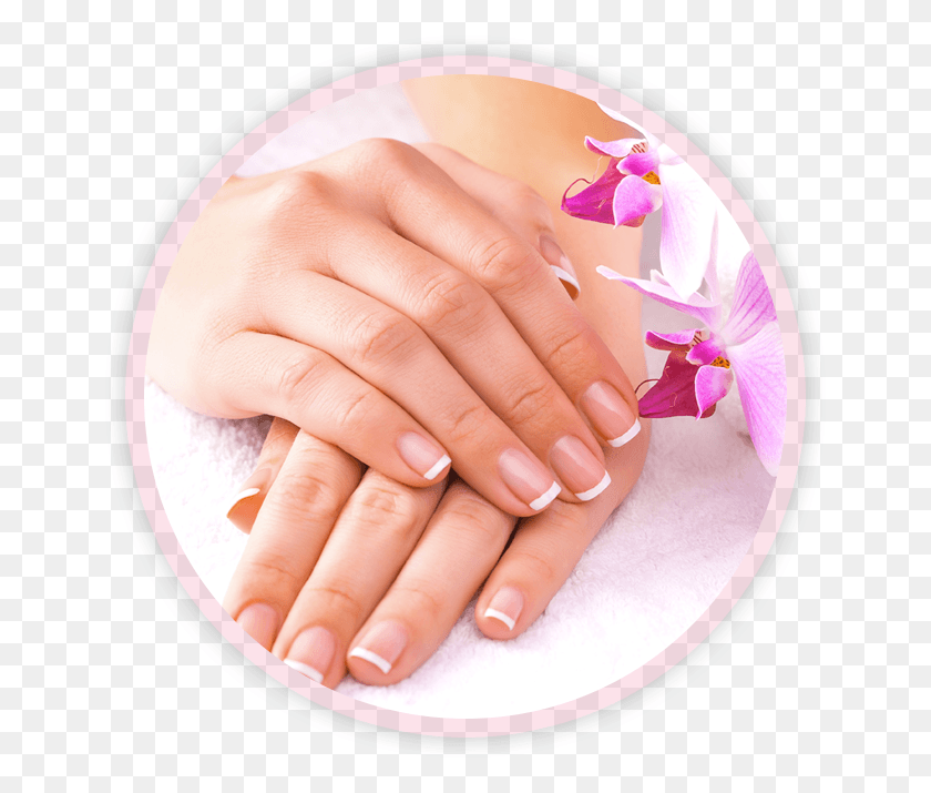 654x655 Home The Nail Lounge Manicure, Person, Human, Hand HD PNG Download