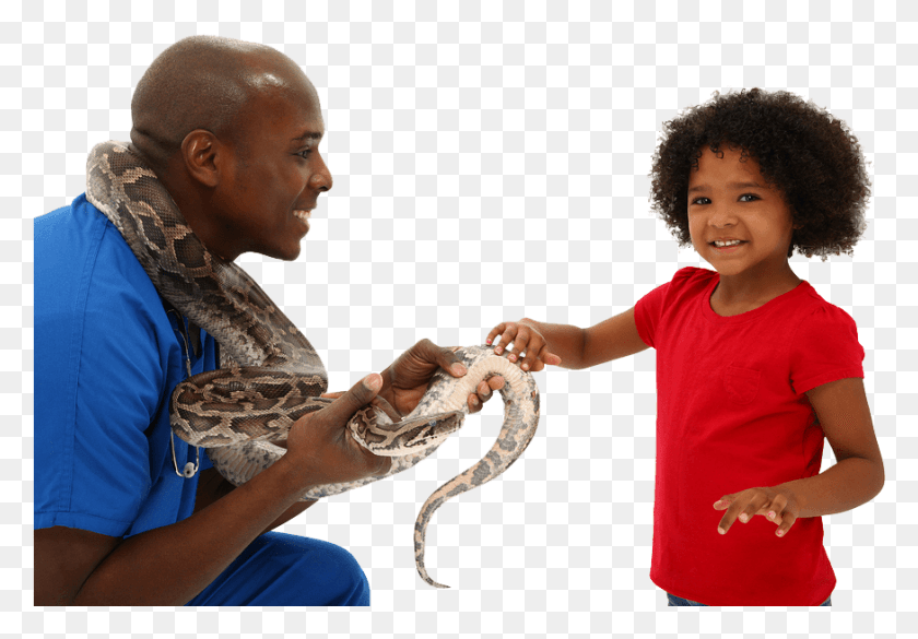 875x589 Home Vet Girl Welcome Free African American Preschool, Person, Human, Hair HD PNG Download