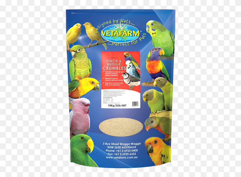 384x557 Home Vetafarm Golden Lori Food, Bird, Animal, Parrot HD PNG Download