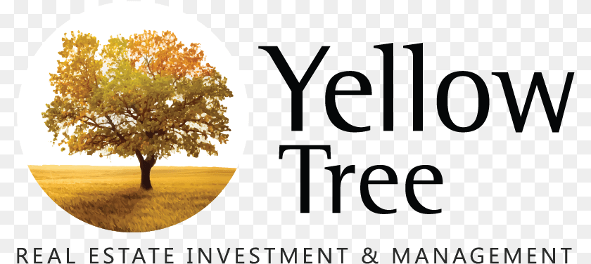 Home Yellow Tree Show Forgiveness Enjoin Kindness, Plant, Outdoors, Nature, Landscape Transparent PNG