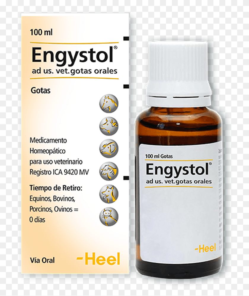732x941 Homeopaticos Engystol Ad Us Heel, Text, Label, Bottle HD PNG Download