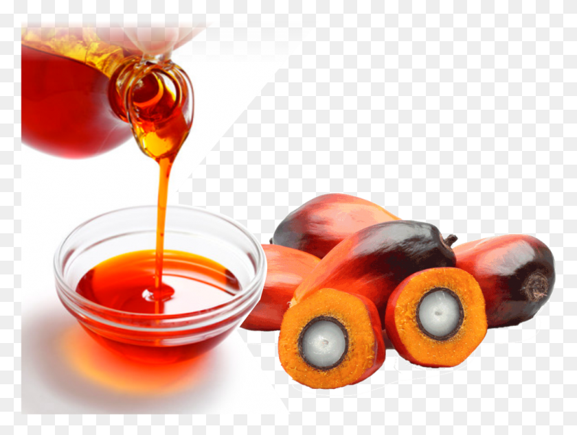 1010x744 Homevegetable Oilsrdb Palm Oil, Food, Honey, Plant HD PNG Download