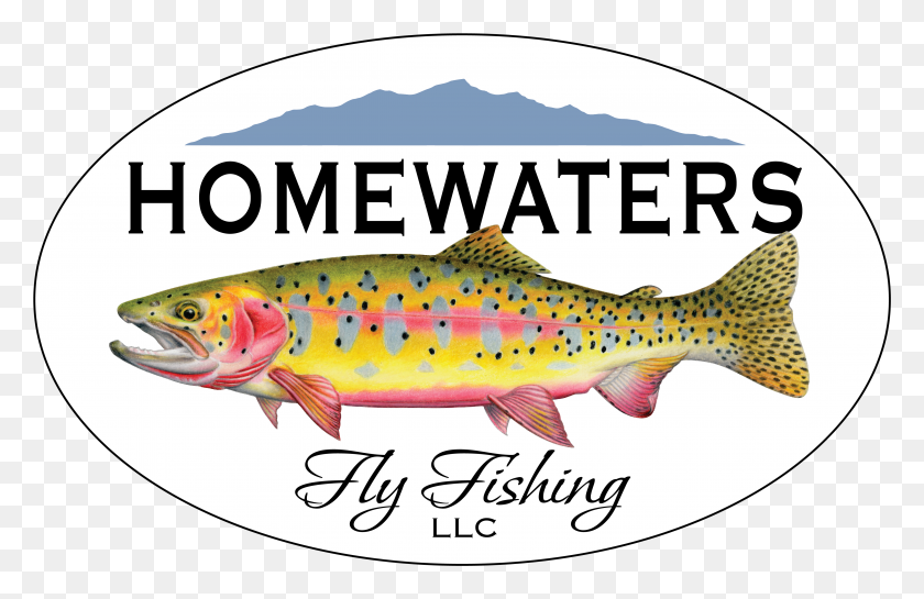4363x2713 Homewaters Fly Fishing Llc Homewaters Fly Fishing HD PNG Download