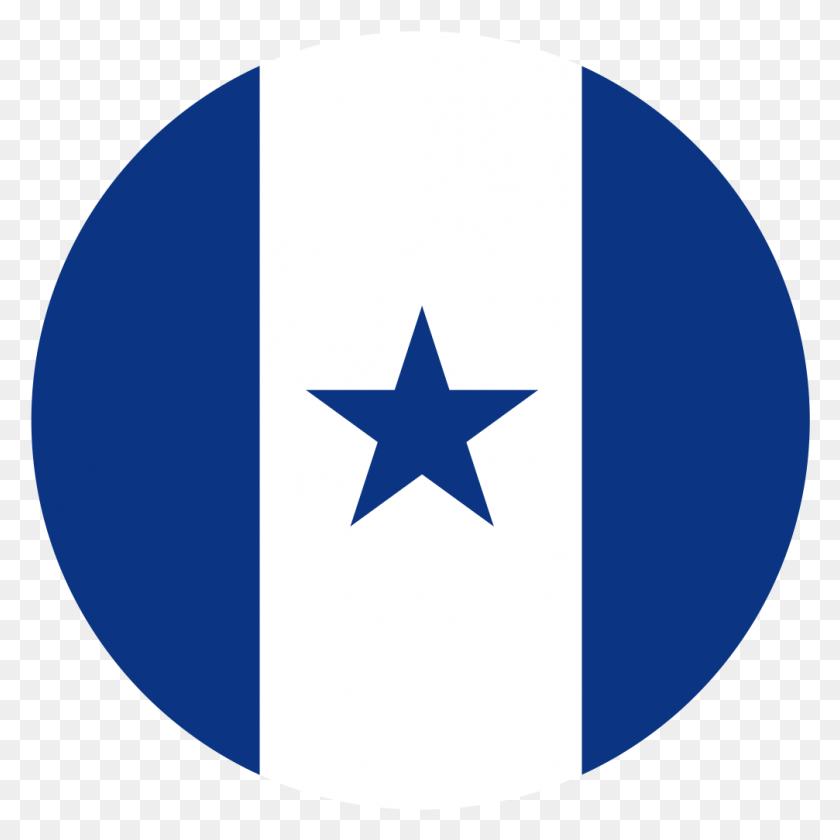 1007x1007 Honduran Air Force Insignia Sunni And Shiite Symbols, Symbol, Star Symbol, Balloon HD PNG Download