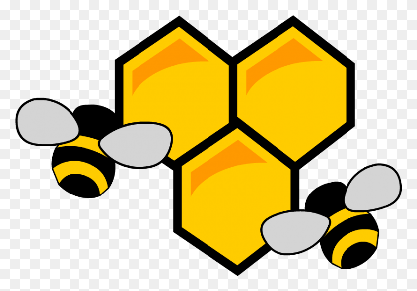 832x561 Honey Bee, Lighting, Team Sport, Sport HD PNG Download