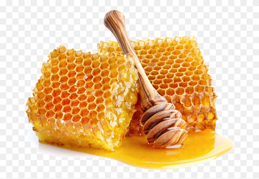 687x522 Honey Natural Honey, Honeycomb, Food, Fungus HD PNG Download
