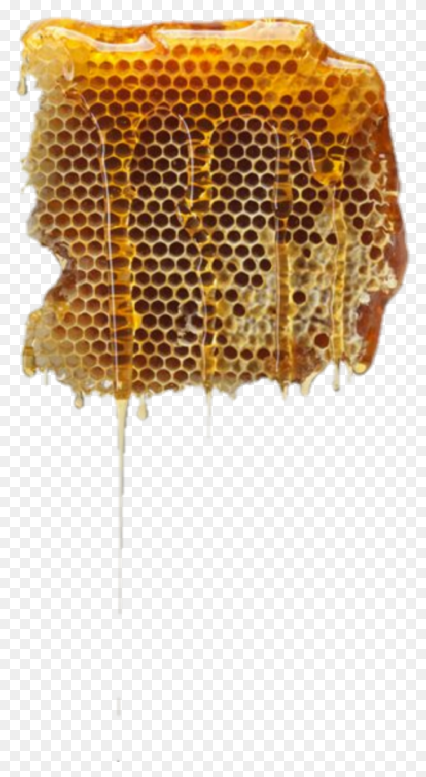 1007x1901 Honey Sticker Honeycomb, Food, Lamp HD PNG Download