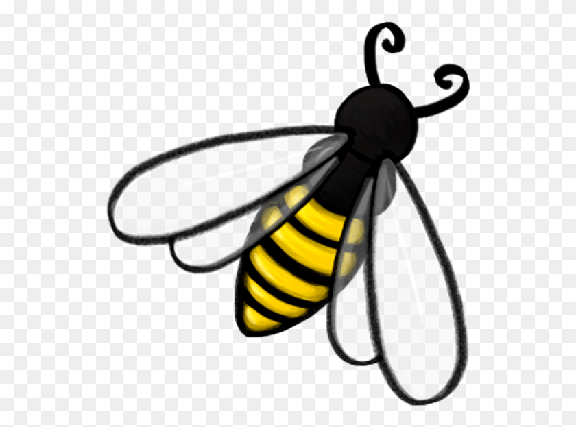 535x563 Honeybee Books Bee Icon Net Winged Insects, Insect, Invertebrate, Animal HD PNG Download