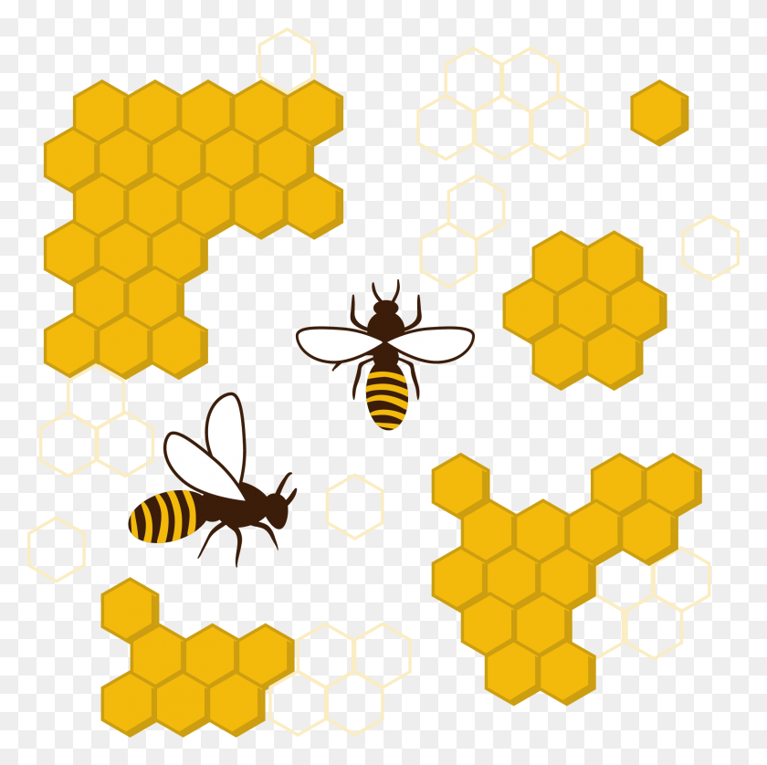 1966x1961 Honeycomb Clipart Transparent Bee Honeycomb Vector, Honey, Food, Wasp HD PNG Download