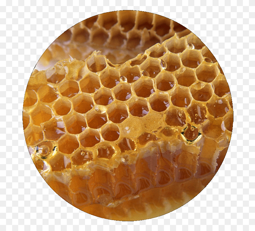 700x700 Honeycomb Honeycomb, Honey, Food, Rug HD PNG Download