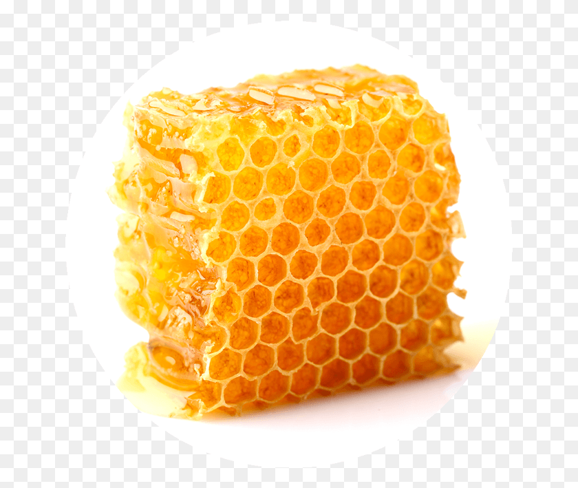 650x649 Honeycomb Honeycomb In Dubai, Honey, Food, Orange HD PNG Download