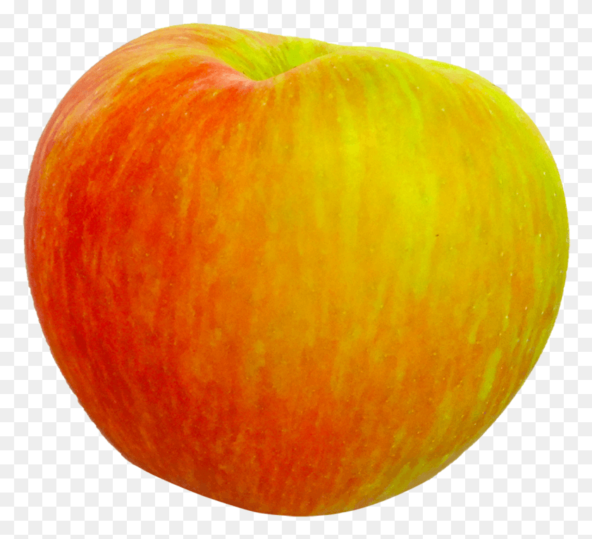 1163x1054 Honeycrisp Apple Fruit Food Image Mcintosh, Plant, Peach HD PNG Download