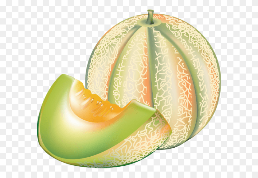 601x521 Honeydew Melon Clipart, Fruit, Plant, Food HD PNG Download
