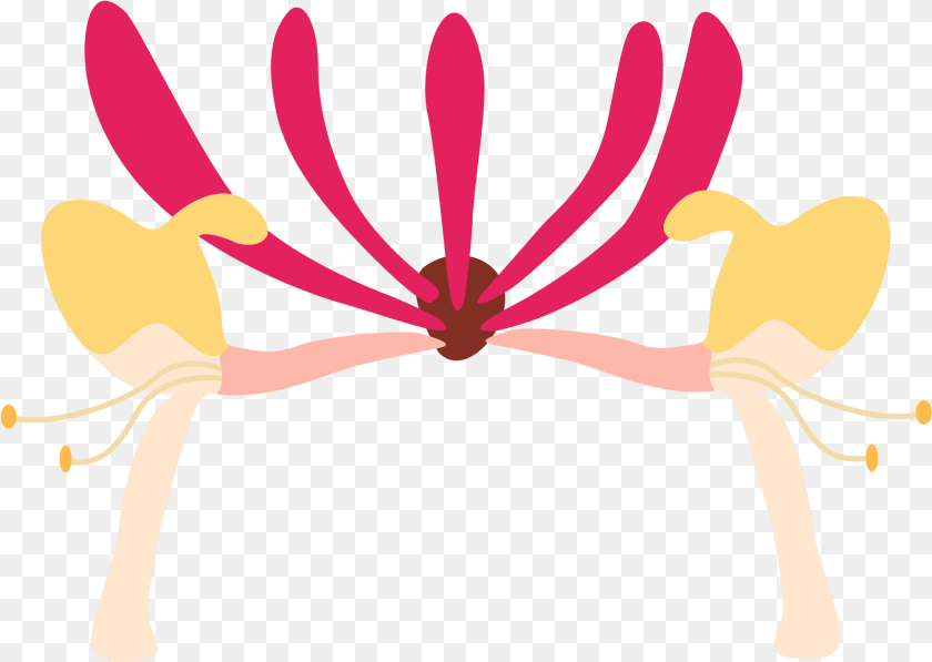 Honeysuckle Flower Art, Anther, Plant, Pollen PNG
