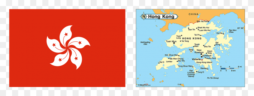 1779x595 Гонконгский Флаг Журнал Гонконг, Участок, Птица, Животное Hd Png Скачать