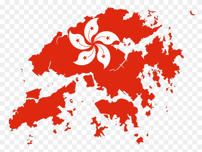 800x586 Hong Kong Flag Map, Plant, Hibiscus, Flower HD PNG Download