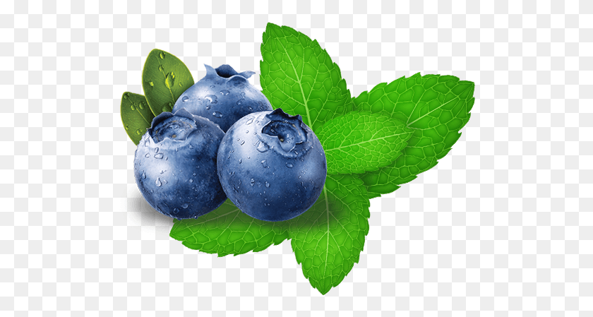 508x389 Hookafina Blueberry Mint Blueberry Cartoon Icon Transparent Background, Plant, Fruit, Food HD PNG Download