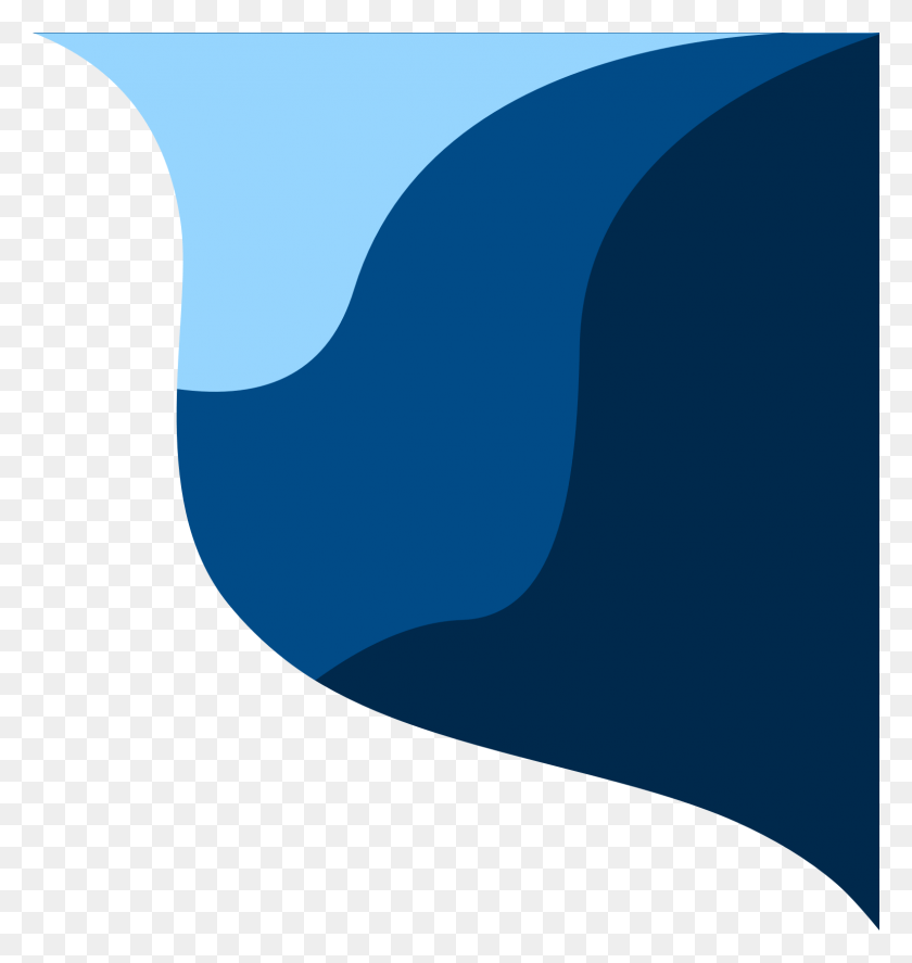 1538x1632 Веб-Семинар Hootsuite, На Открытом Воздухе, Природа, Акула Hd Png Скачать
