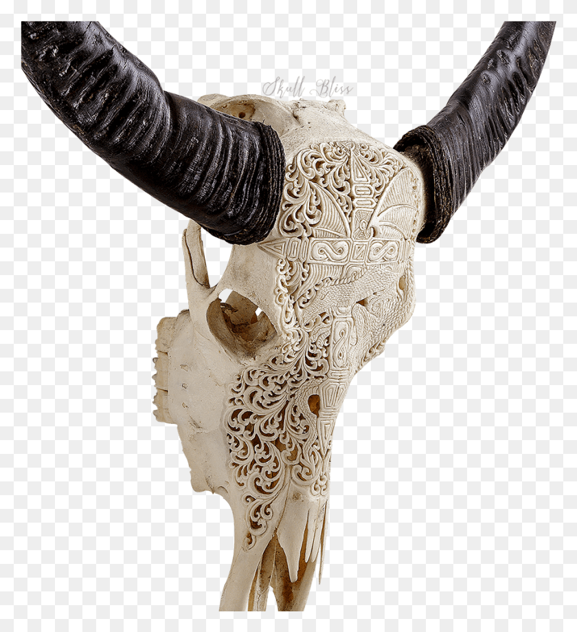 908x1001 Horn, Mammal, Animal, Ivory HD PNG Download