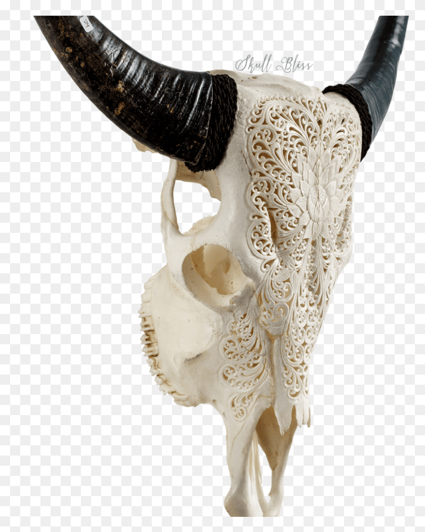 806x1025 Horn, Person, Human, Animal HD PNG Download