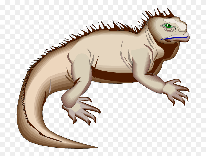 708x576 Рогатая Ящерица Морская Игуана, Динозавр, Рептилия, Животное Png Скачать