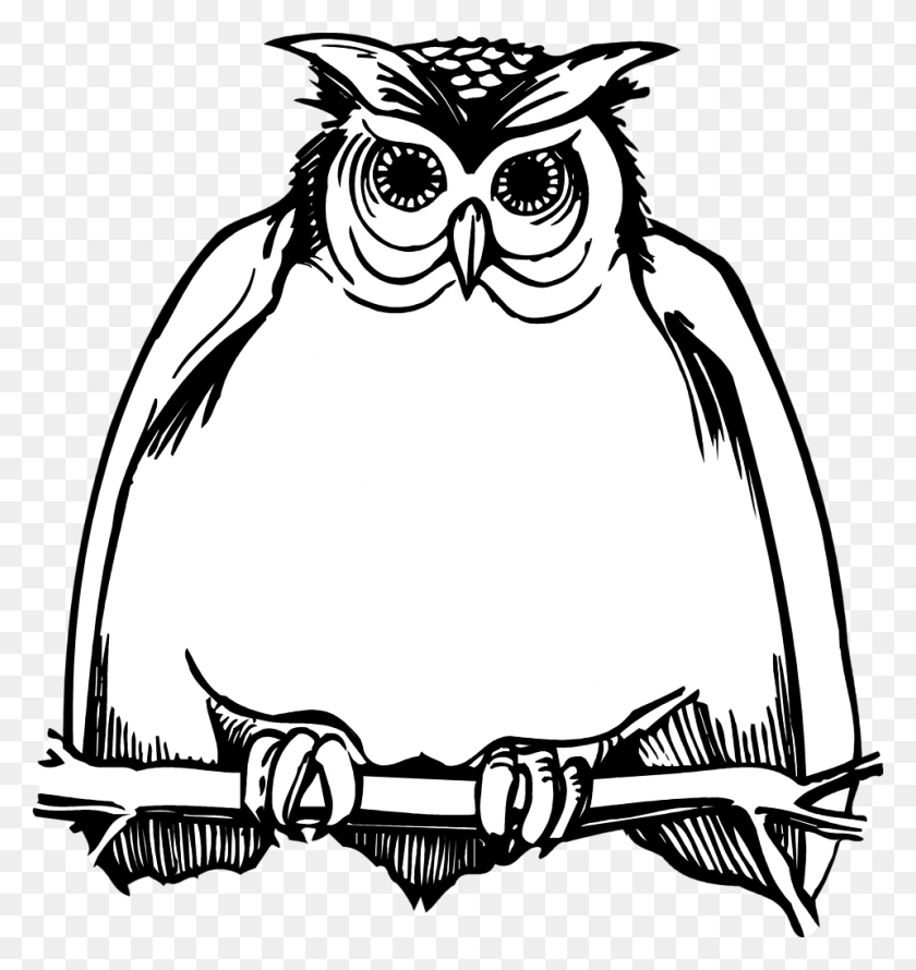 958x1020 Horned Owl Clipart Black And White Clipart Harry Potter Owl, Animal, Bird HD PNG Download