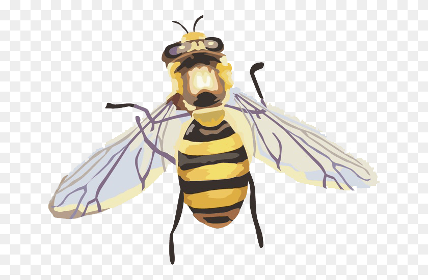 650x490 Png Изображение - Hornet Image File: Abelha Rainha Desenho, Оса, Пчела, Насекомое, Hd Png.