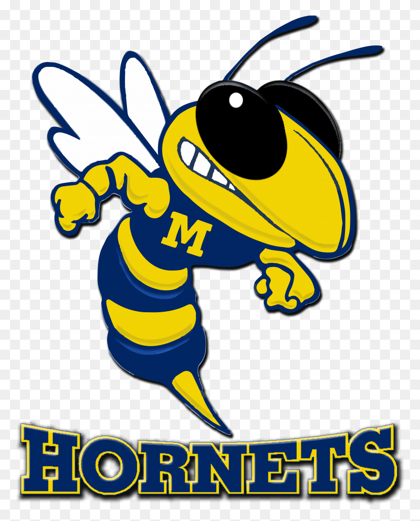 2785x3512 Png Изображение - Hornet Logo Peeples Middle School, Оса, Пчела, Насекомое Png Скачать
