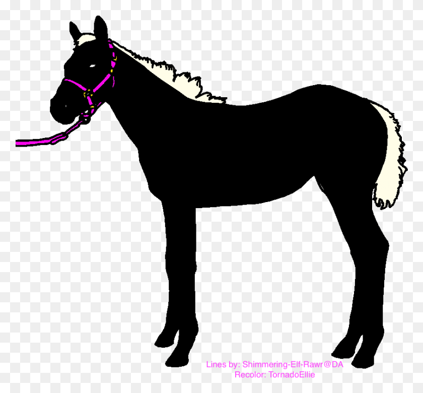 846x782 Caballo, Texto, Flare Hd Png