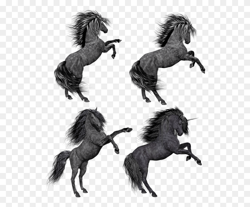 544x634 Horse, Mammal, Animal, Wolf HD PNG Download