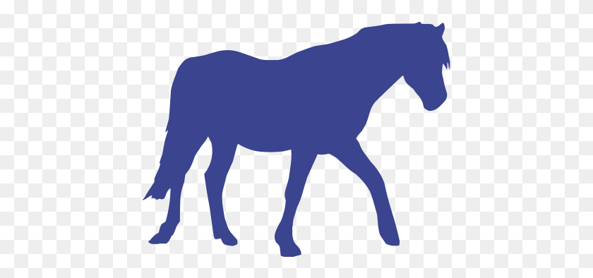 437x334 Лошадь, Млекопитающее, Животное, Жеребенок Hd Png Скачать