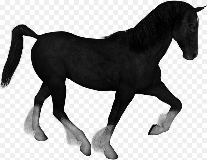 1319x1019 Horse, Animal, Mammal, Colt Horse Sticker PNG