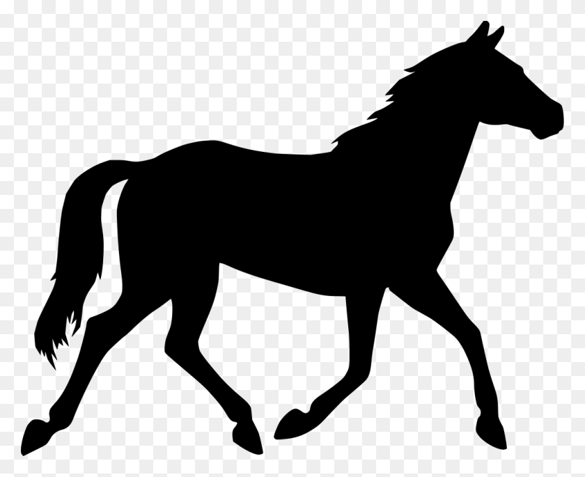 1024x821 Лошадь Мультфильм, Серый, Мир Варкрафта Hd Png Скачать