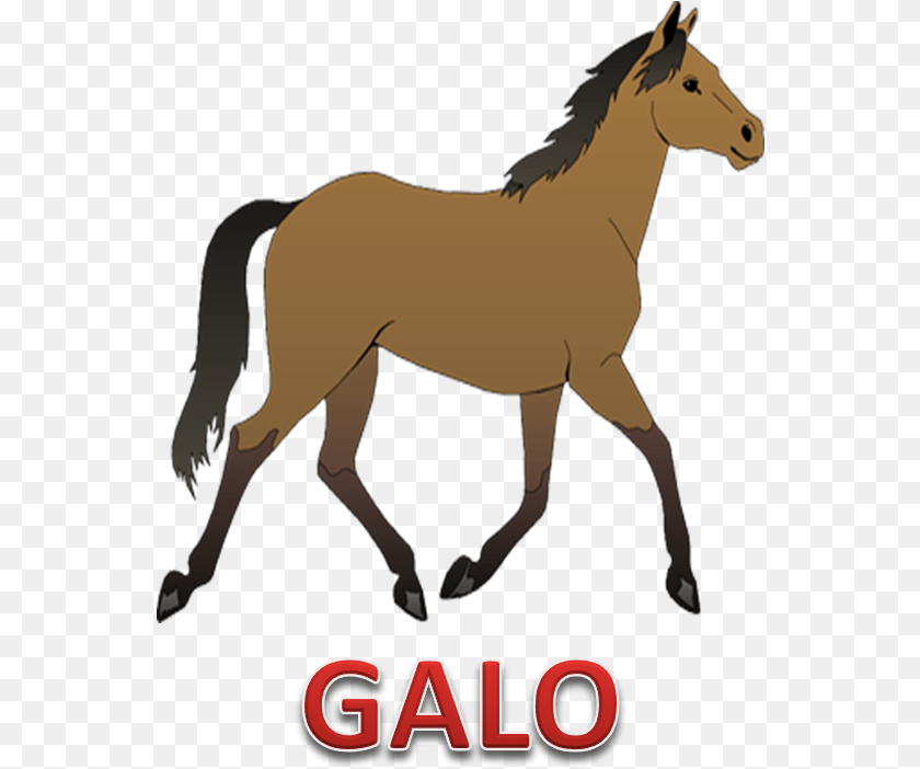 556x702 Horse Clipart Background, Animal, Colt Horse, Mammal, Antelope Transparent PNG