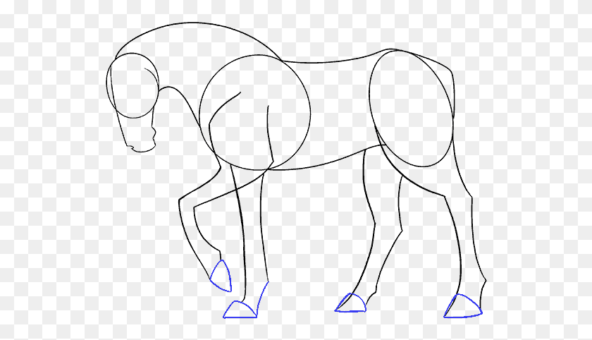542x422 Horse Drawing Head Horse Drawing, Outdoors, Text, Nature HD PNG Download