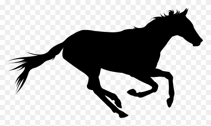 892x508 Horse Gallop Running Black Shadow Silhouette Stallion, Gray, World Of Warcraft HD PNG Download