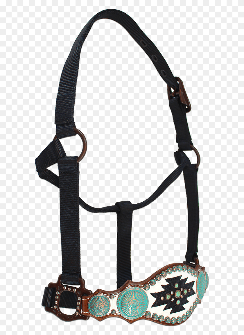 600x1093 Horse Halters Western Tack Horse Tack Show Horses Halter, Strap, Tie, Accessories HD PNG Download