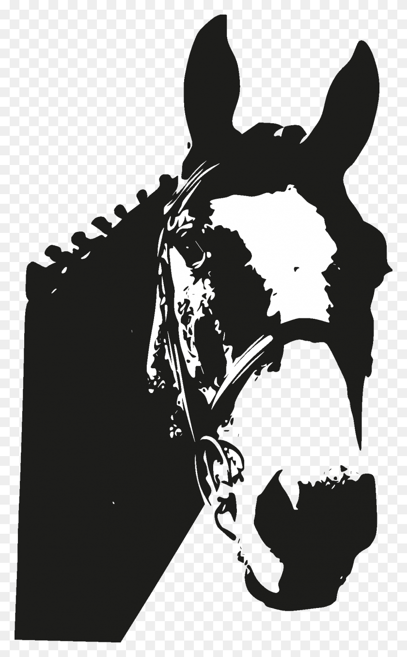 1132x1878 Horse Head Silhouette Illustration, Stencil, Person HD PNG Download