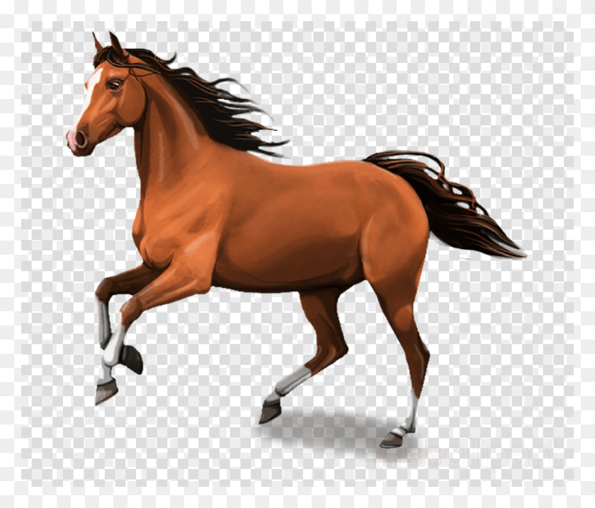 900x760 Horse Psd Clipart Foal Mustang Mare Rose Heart Transparent Background, Mammal, Animal, Colt Horse HD PNG Download