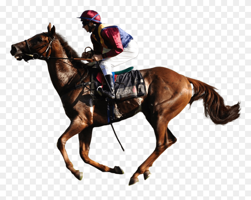 822x646 Caballo Png / Caballo Png