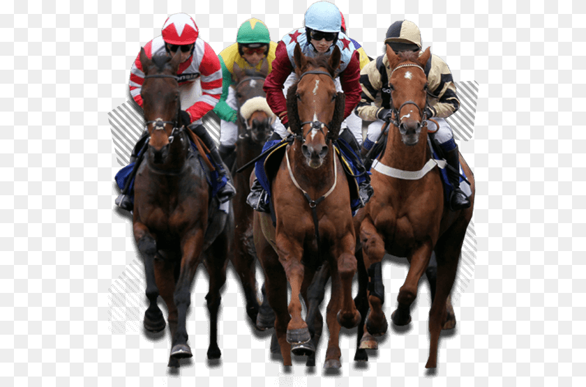 Horse Races, Adult, Man, Male, Person Clipart PNG
