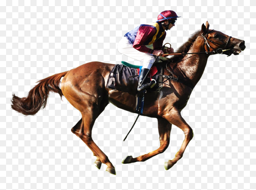 854x617 Horse Racing Transparent Background Image Transparent Race Horse, Person, Human, Mammal HD PNG Download