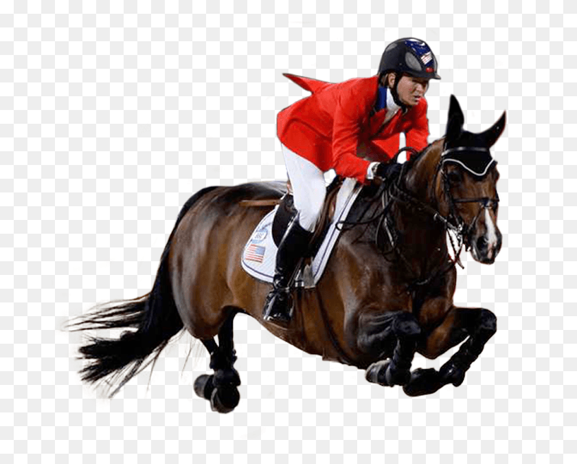 691x615 Caballo Png / Caballo Png