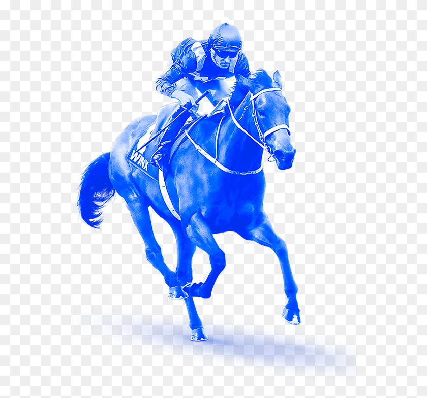 562x724 Horse Running Stallion, Mammal, Animal, Person HD PNG Download