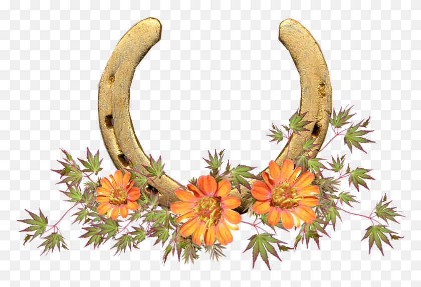 944x622 Horse Shoe Flowers Lucky Symbol Herradura Flores, Horseshoe, Plant HD PNG Download